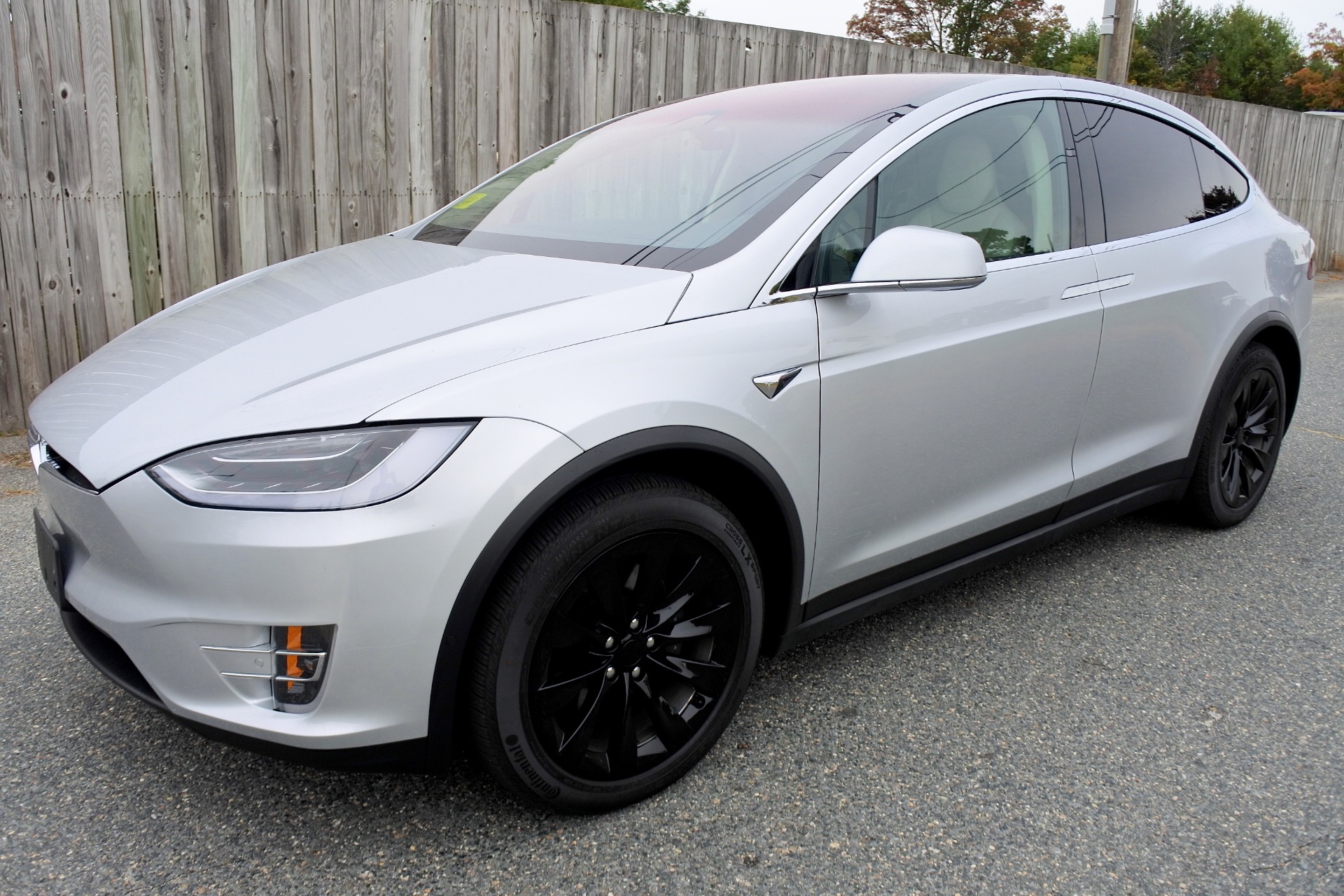 Tesla model x 100d